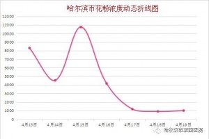 哈尔滨·4月19日花粉实况播报