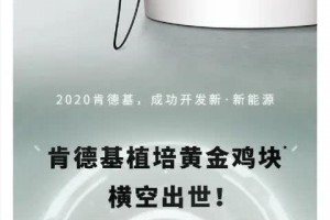 吃货炸锅肯德基开卖人造肉鸡块5块不到两元钱滋味嘛……